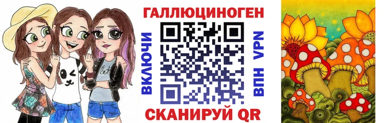 цена наркотик  дарк нет Telegram  Псилоцибиновые грибы MAGIC MUSHROOMS  Шумиха 